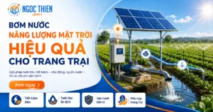Bơm nước năng lượng mặt trời hiệu quả cho trang trại
