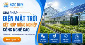 Điện mặt trời kết hợp nông nghiệp công nghệ cao