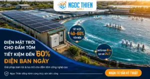 Điện mặt trời cho trang trại nuôi tôm giúp giảm chi phí