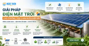 Giải pháp điện mặt trời cho chuồng trại chăn nuôi khép kín