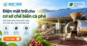 Máy sấy rang phân loại trong cơ sở chế biến cà phê