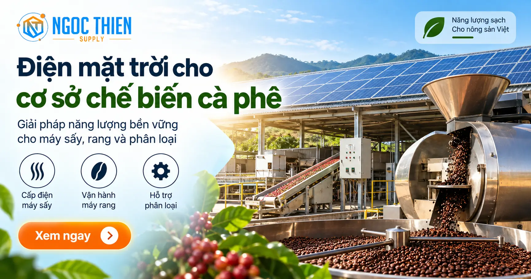 Máy sấy rang phân loại trong cơ sở chế biến cà phê