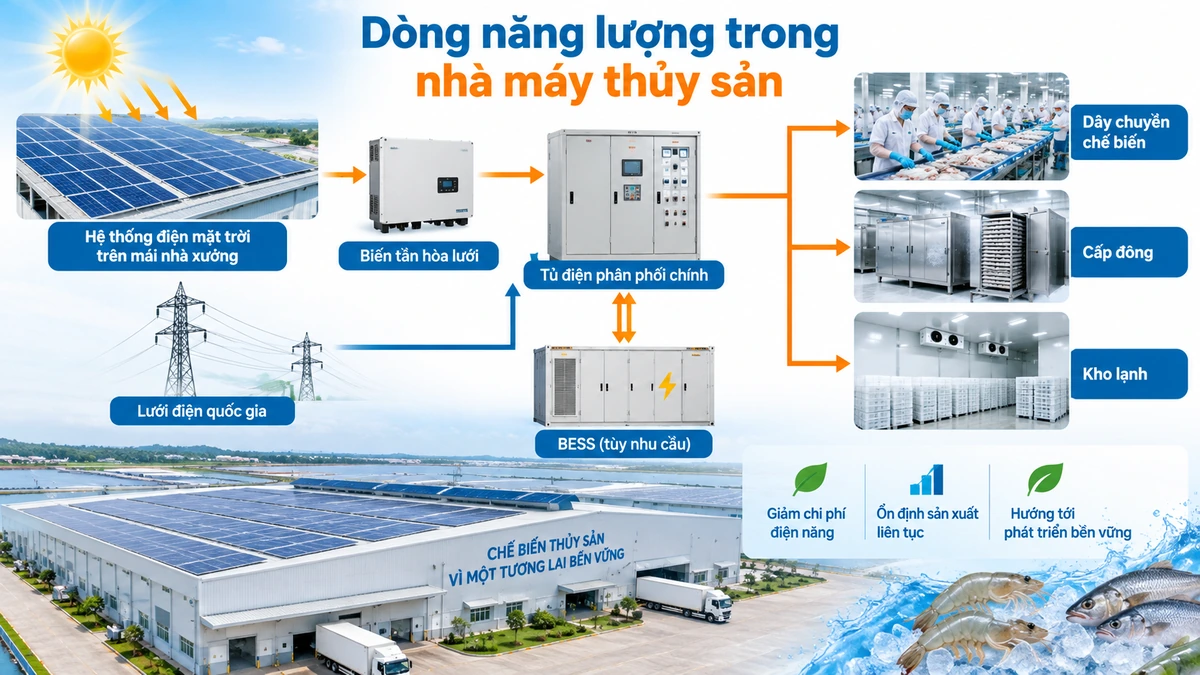 Sơ đồ dòng năng lượng trong nhà máy thủy sản có điện mặt trời